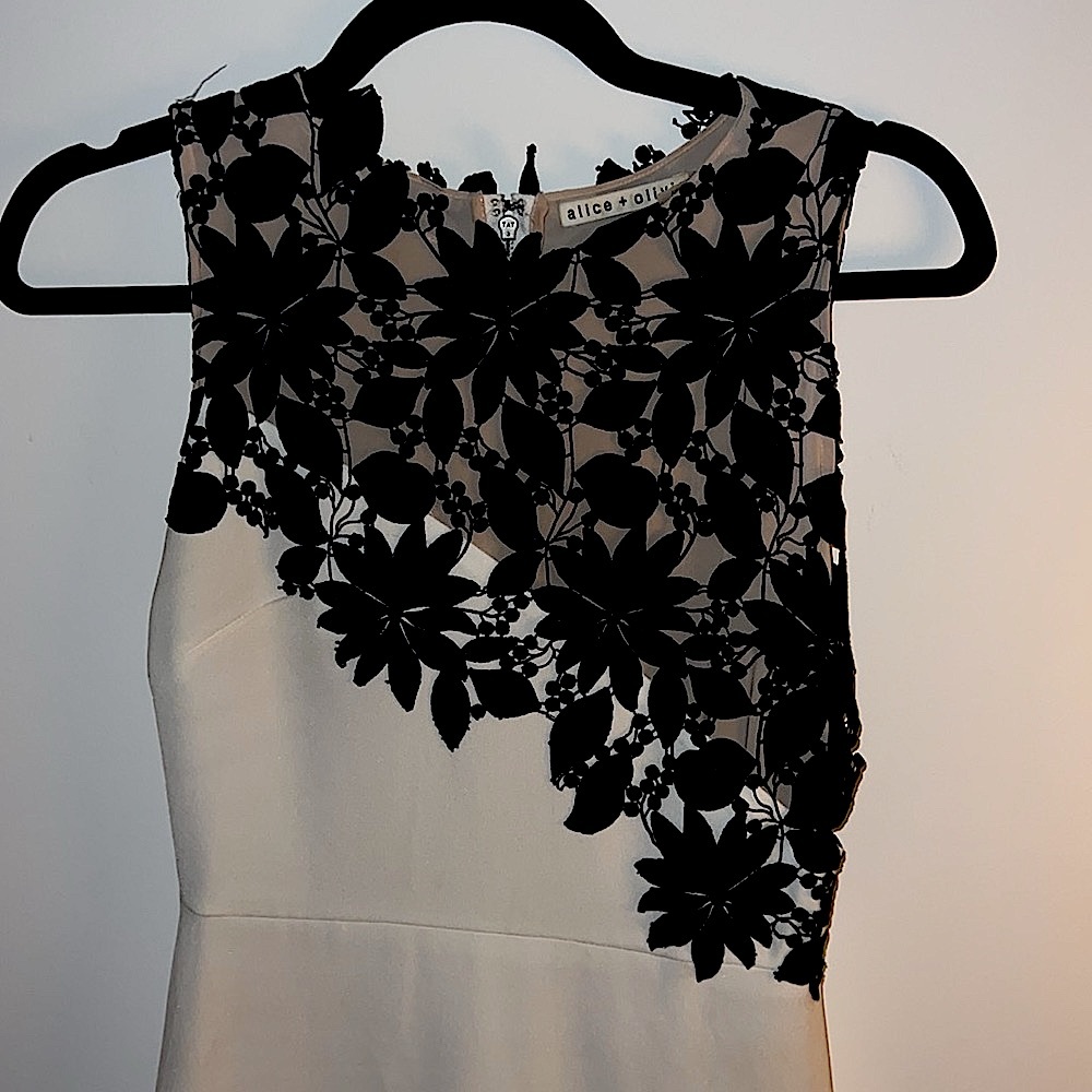 Alice and Olivia - Picture 10 of 10